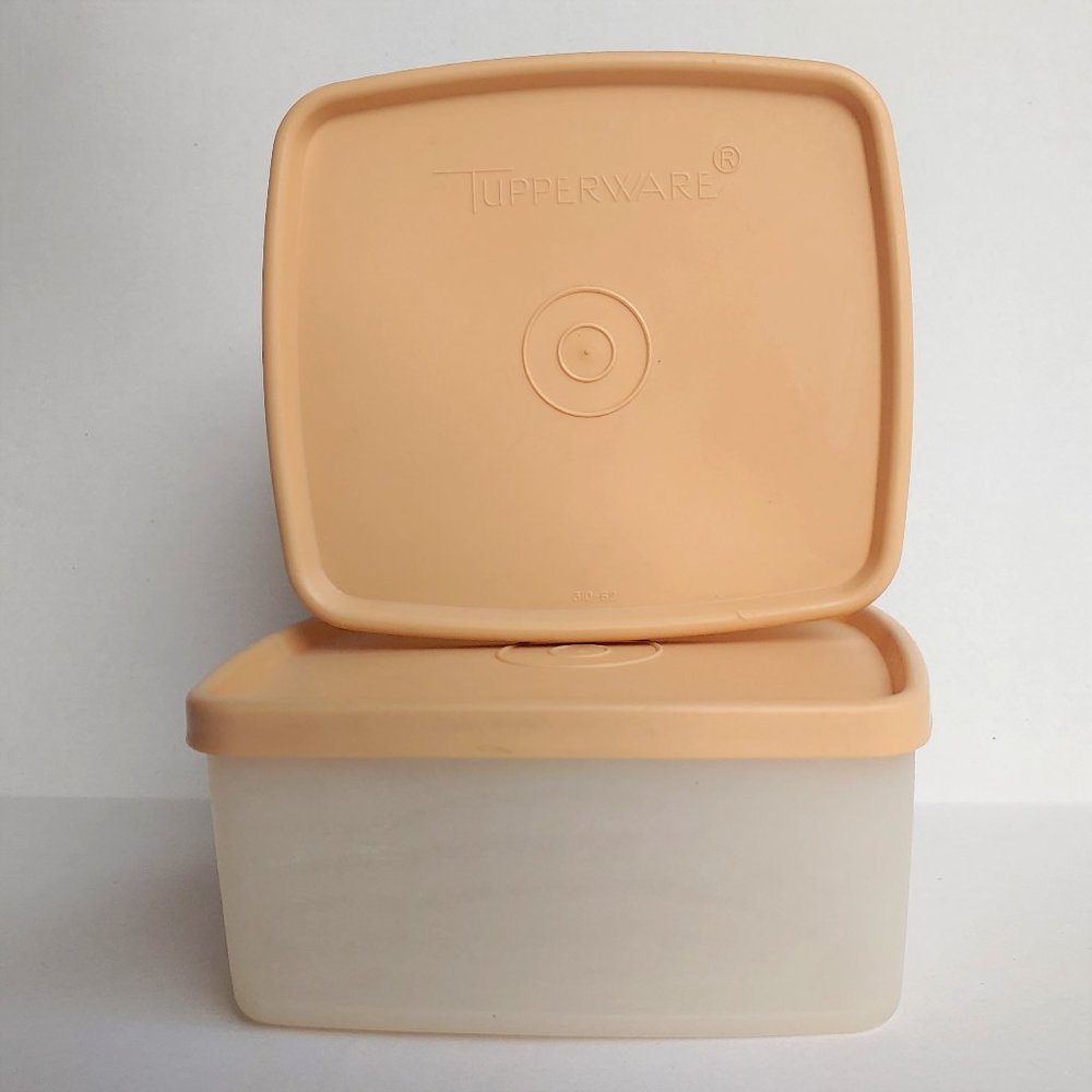Set of 2 VTG rectangle containers with lids